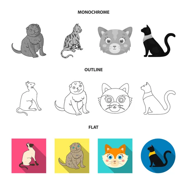 Vector ontwerp van pet en sphynx teken. Collectie van huisdier en fun vector pictogram voor voorraad. — Stockvector