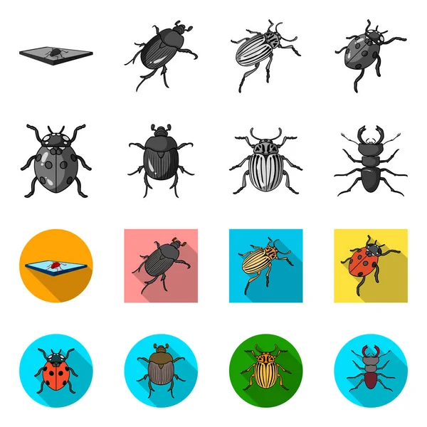 Illustration vectorielle de signes d'insectes et de scarabées. Collection d'icônes vectorielles d'insectes et d'Halloween pour stock . — Image vectorielle