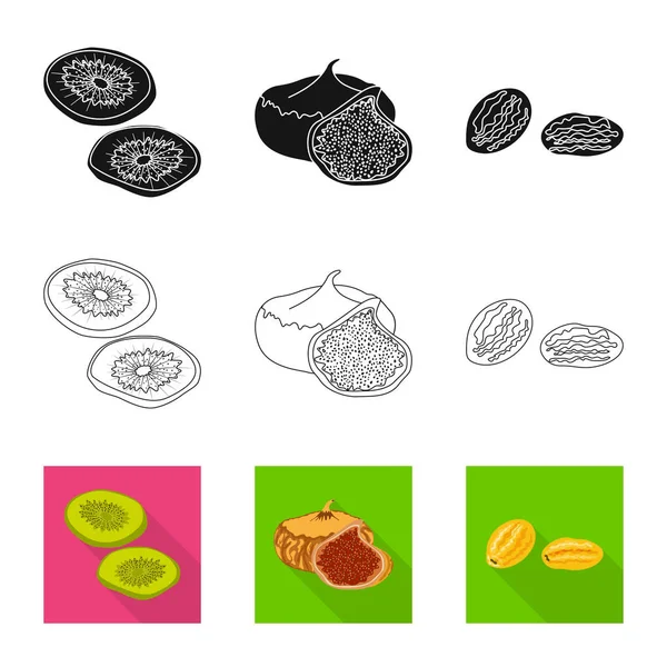 Conception vectorielle des aliments et des signes crus. Collection de nourriture et icône vectorielle de la nature pour le stock . — Image vectorielle