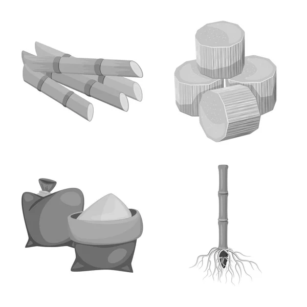 Oggetto isolato di canna da zucchero e icona di canna. Set di canna da zucchero e icona vettoriale di campo per lo stock . — Vettoriale Stock