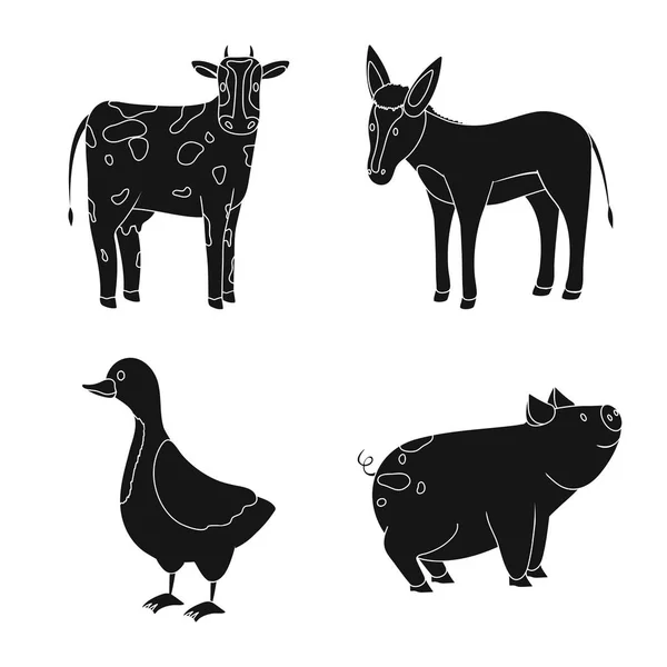 Diseño vectorial de rancho e icono orgánico. Conjunto de rancho e ilustración de vector de stock de alimentos . — Vector de stock