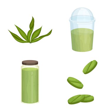 Spirulina ve yosun logosu vektör tasarımı. Spirulina ve vegan stok vektör illüstrasyon koleksiyonu.