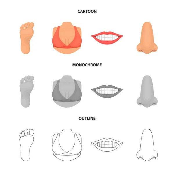 Isoliertes Objekt des Körpers und Teil-Symbol. Satz von Körper und Anatomie-Vektor-Symbol für Aktien. — Stockvektor