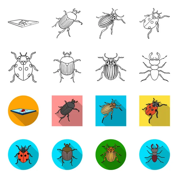 Objet isolé de symbole d'insecte et de scarabée. Ensemble d'illustration vectorielle de stock d'insectes et d'Halloween . — Image vectorielle