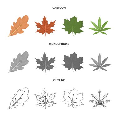 Vegan ve organik işareti vektör tasarımı. Vegan ve taze stok vektör çizim.