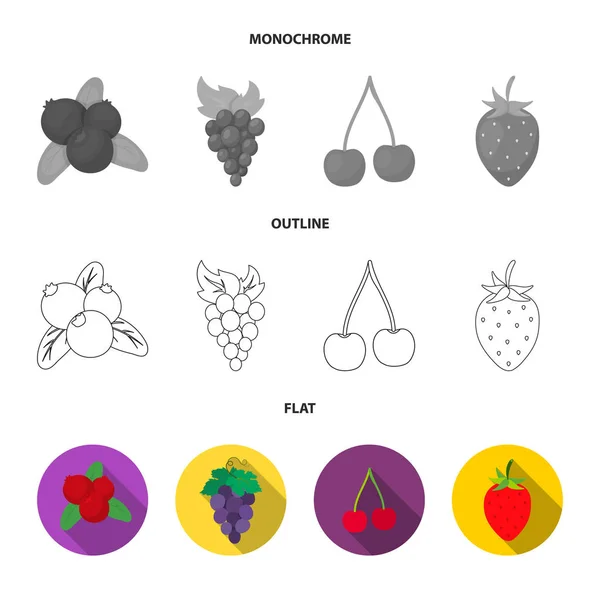 베리와 과일 로고의 고립 된 개체입니다. 베리의 집합 및 주식에 대 한 redberry 벡터 아이콘. — 스톡 벡터