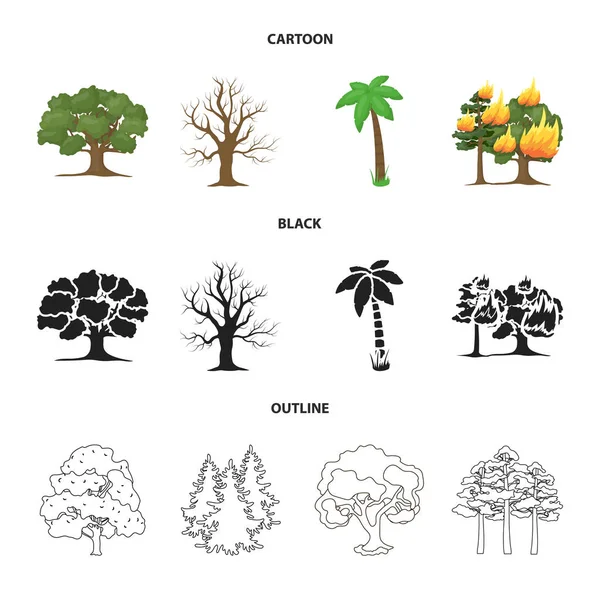 Illustration vectorielle du logo des arbres et forêts. Collection de symbole d'arbre et de bouillon vert pour toile . — Image vectorielle