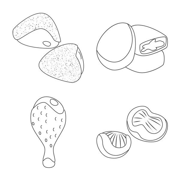 Conception vectorielle de la nourriture et symbole grillé. Collecte de nourriture et illustration vectorielle du stock d'oiseaux . — Image vectorielle