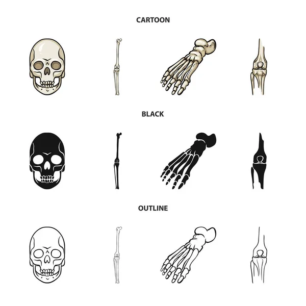 Ilustração vetorial da medicina e símbolo da clínica. Coleção de medicina e ícone de vetor médico para estoque . —  Vetores de Stock