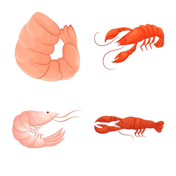 Diseño vectorial de camarones y cangrejo símbolo. Conjunto de camarones y caldo de mar símbolo para web . — Archivo Imágenes Vectoriales