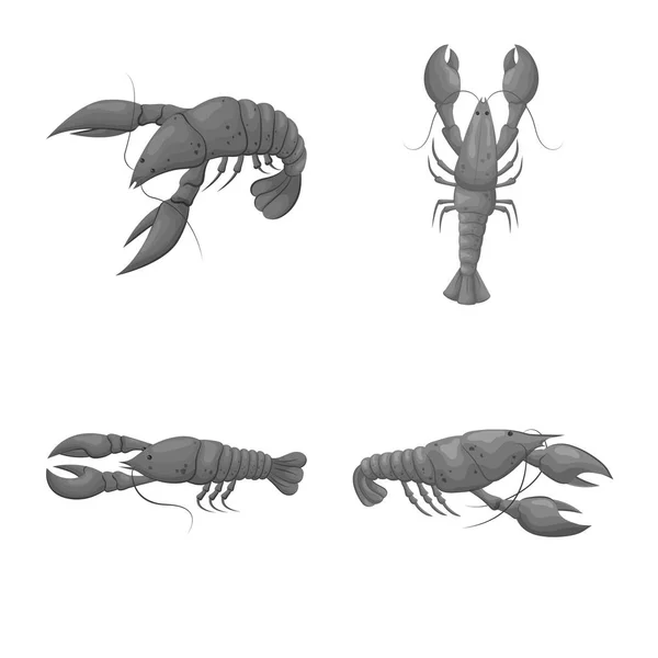 Vektor design av krabba och förrätt ikon. Uppsättning av krabba och hav Stock vektor illustration. — Stock vektor