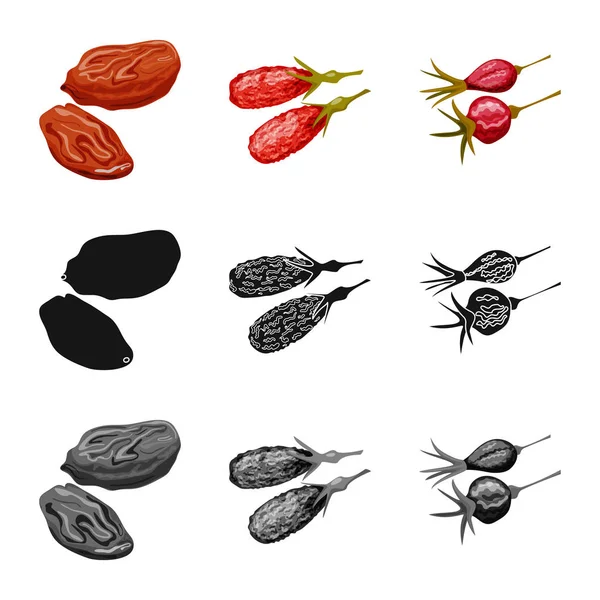 Ilustración vectorial de comida y símbolo crudo. Conjunto de alimentos y naturaleza vector icono para stock . — Vector de stock