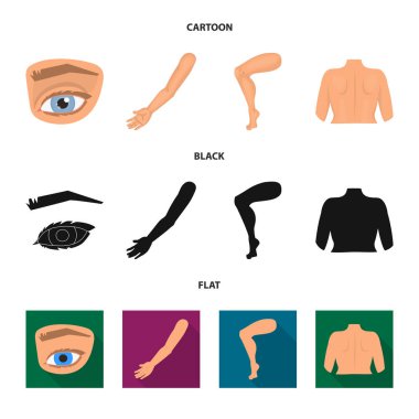 Vücut ve bölümü simge vektör Illustration. Vücut ve anatomi hisse senedi simgesi için web topluluğu.