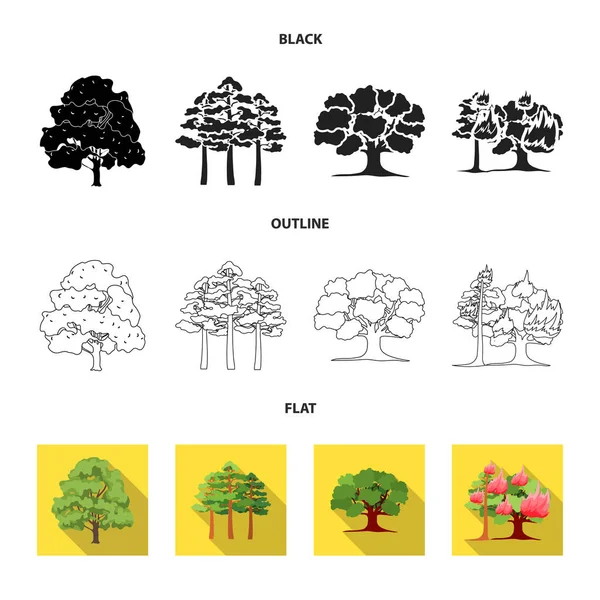 Ağaç ve orman logo vektör Illustration. Ağaç ve yeşil vektör simgesini hissenin koleksiyonu. — Stok Vektör