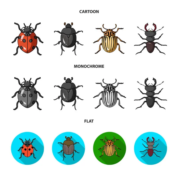 Vector illustration of insect and beetle sign. Set of insect and halloween vector icon for stock. — Stock Vector