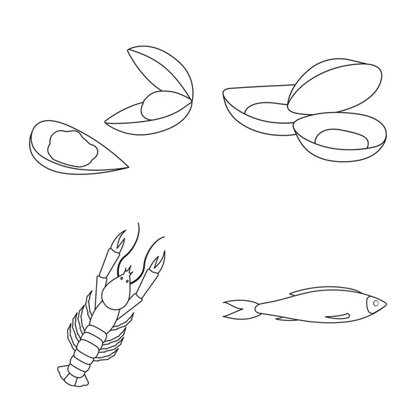 Vectorillustratie van voedsel en zee symbool. Set van voedsel en gezonde vector pictogram voor voorraad. — Stockvector