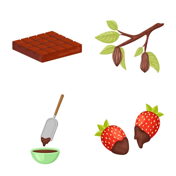 Objeto aislado del logotipo de cacao y frijoles. Colección de cacao y dulzura símbolo de stock para la web . — Vector de stock