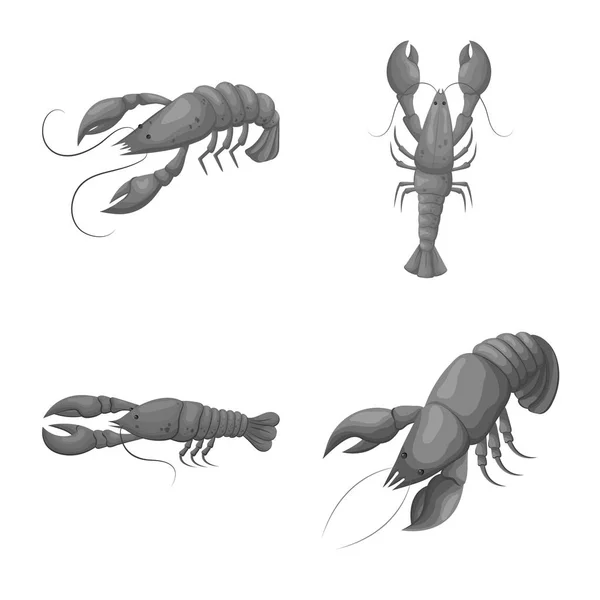 Ilustração vetorial de caranguejo e sinal de aperitivo. Conjunto de caranguejo e símbolo de estoque de mar para web . — Vetor de Stock