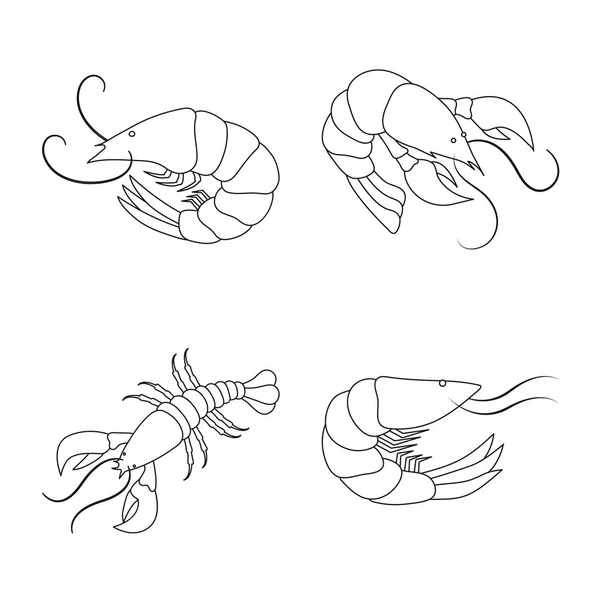 Ilustração vetorial do ícone da comida e do mar. Coleta de alimento e animal símbolo de estoque de web . — Vetor de Stock