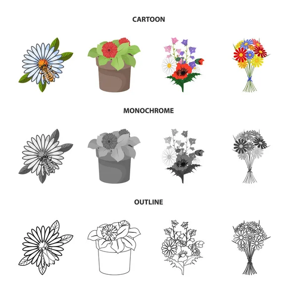 Diseño vectorial del logotipo de primavera y corona. Conjunto de primavera y flor símbolo de stock para la web . — Vector de stock