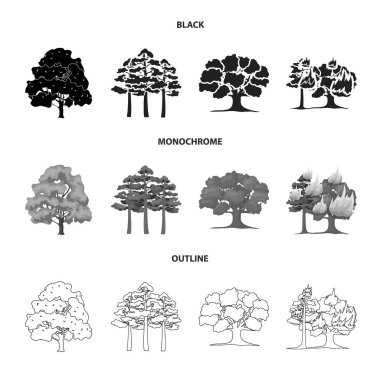 Ağaç ve orman işareti yalıtılmış nesne. Ağaç ve yeşil hisse senedi simgesi için web topluluğu.