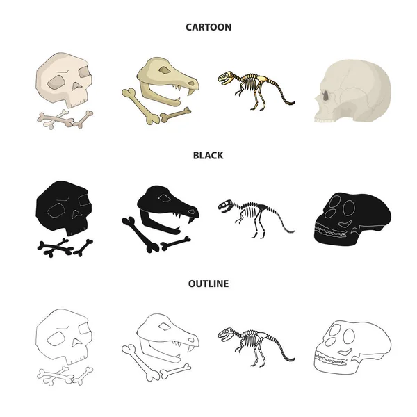 Vektor design av skelett- och teckenformat symbol. Uppsättning av skelett och halloween vektor ikonen för lager. — Stock vektor