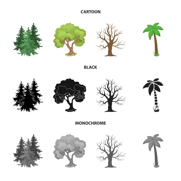 Geïsoleerde object van pictogram boom en bos. Verzameling van boom en groene voorraad vectorillustratie. — Stockvector