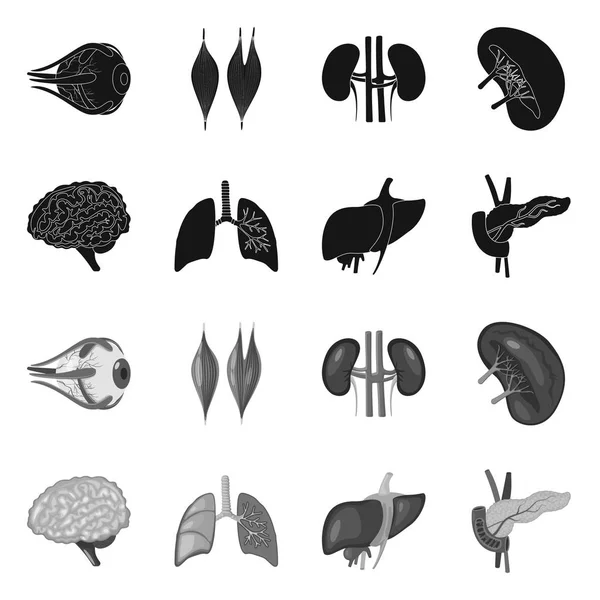 Vectorillustratie van de biologie en wetenschappelijke symbool. Verzameling van vector-pictogram voor biologie en laboratorium voor voorraad. — Stockvector