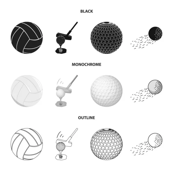 Isolé objet de ballon et icône de football. Ensemble de symbole de stock de ballon et de basket pour le web . — Image vectorielle
