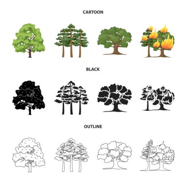 Ağaç ve orman işareti yalıtılmış nesne. Ağaç ve yeşil hisse senedi simgesi web için set.