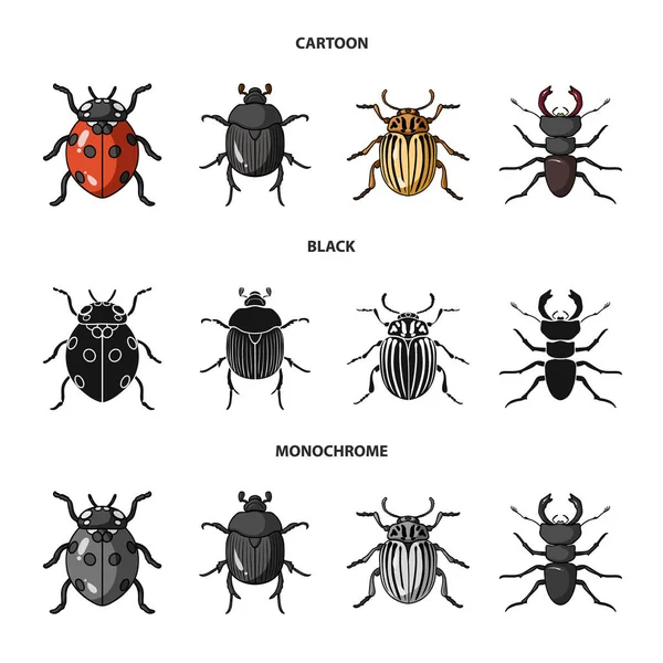 Vector illustration of insect and beetle symbol. Collection of insect and halloween stock vector illustration. — Stock Vector