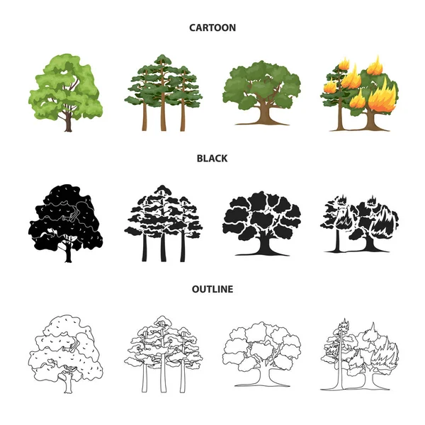 Ağaç ve orman işareti yalıtılmış nesne. Ağaç ve yeşil hisse senedi simgesi web için set.