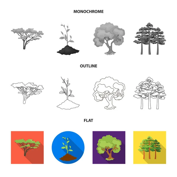 Objeto isolado de árvore e ícone de floresta. Coleção de árvore e ícone de vetor verde para estoque . — Vetor de Stock