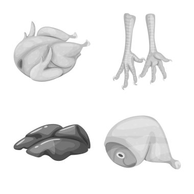 Mutfağı ve kuş simgesi yalıtılmış nesne. Mutfağı ve kümes hayvanları hisse senedi vektör çizim topluluğu.