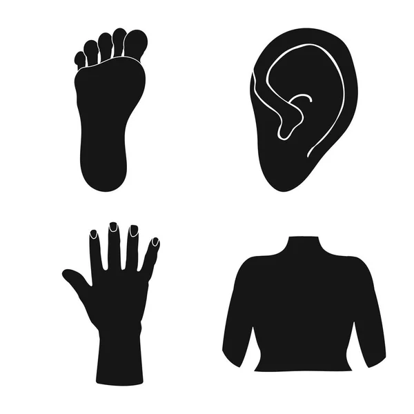 Illustration vectorielle du logo du corps et de la pièce. Ensemble de corps et anatomie stock symbole pour la toile . — Image vectorielle