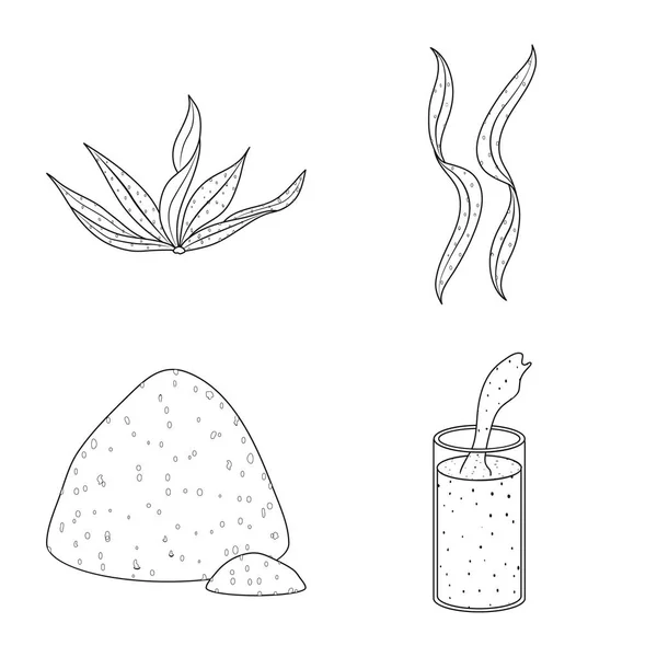 Illustrazione vettoriale di cibo e segno vegano. Set di cibo e erba stock simbolo per il web . — Vettoriale Stock