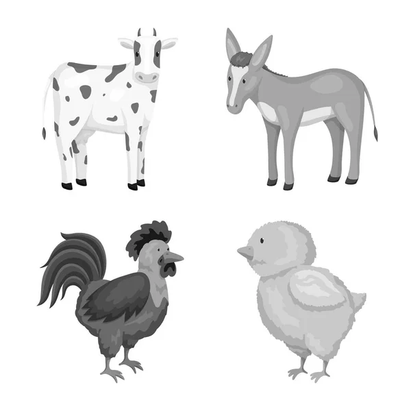 Diseño vectorial de la granja y el icono de la agricultura. Colección de homestead y cocina stock vector ilustración . — Vector de stock