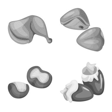 Mutfağı ve kuş simge vektör tasarımı. Mutfağı ve kümes hayvanları hisse senedi vektör çizim seti.