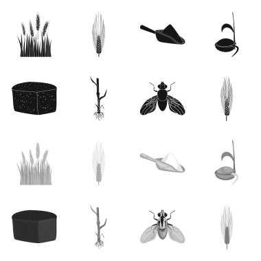 Tarım ve tarım simge vektör tasarımı. Tarım ve bitki hisse senedi vektör çizim topluluğu.