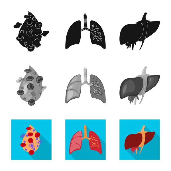 Objeto isolado de biologia e logotipo científico. Coleta de biologia e símbolo de estoque de laboratório de web . — Vetor de Stock