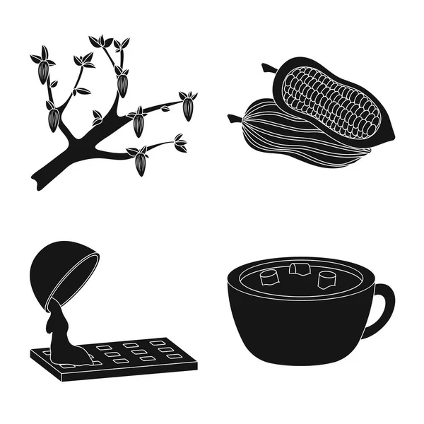 Diseño vectorial de la cocina y el símbolo marrón. Colección de cocina y frijoles vector de la ilustración . — Vector de stock