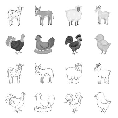 Üreme ve mutfak simge vektör tasarımı. Koleksiyon ıslahının ve organik hisse senedi vektör çizim.