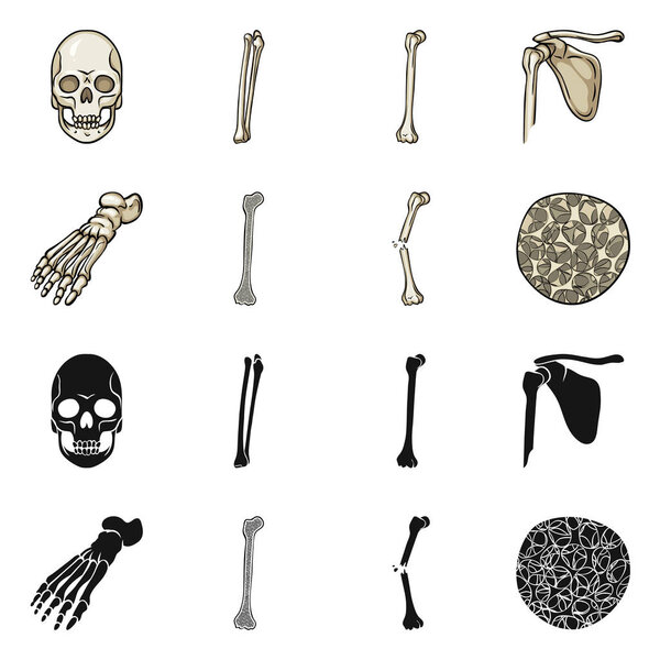 Векторное проектирование медицины и вывески клиники. Набор лекарственных средств и медицинских векторных значков для склада
.