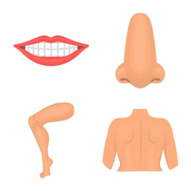 Vücut ve bölümü simge vektör Illustration. Vücut ve anatomi hisse senedi simgesi için web topluluğu.