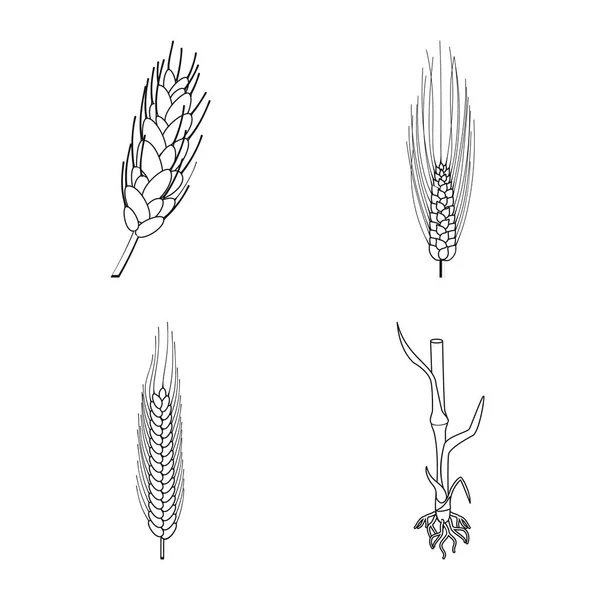 Diseño vectorial del icono de la agricultura y la agricultura. Colección de símbolos agrícolas y vegetales para la web . — Vector de stock