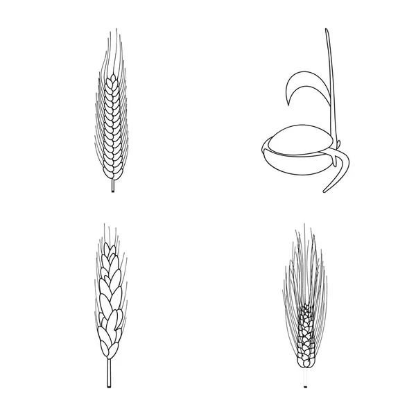 农业和农业的孤立对象。网络农业和植物存量符号的收集. — 图库矢量图片