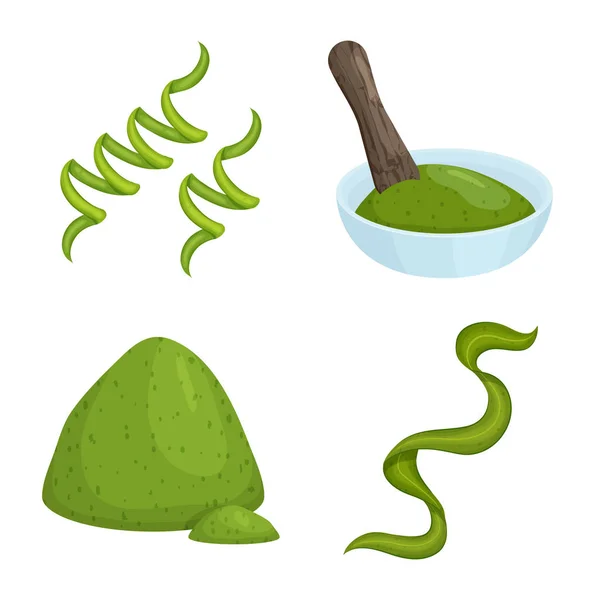 Diseño vectorial de espirulina y signo de algas marinas. Colección de espirulina y vector vegano icono para stock . — Vector de stock