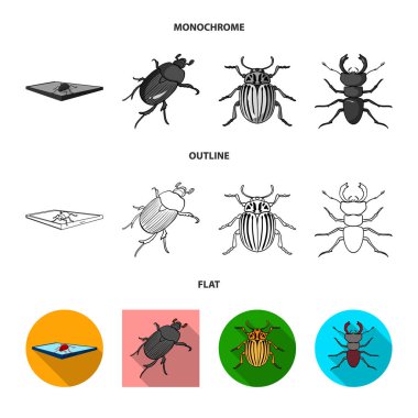 Böcek ve böcek sembolü yalıtılmış nesne. Böcek ve Cadılar Bayramı vektör simgesini hissenin topluluğu.