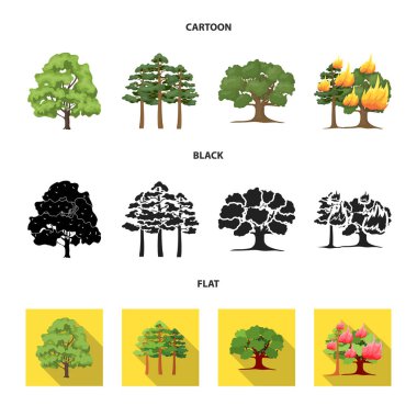 Ağaç ve orman simge vektör tasarımı. Ağaç ve yeşil hisse senedi simgesi web için set.