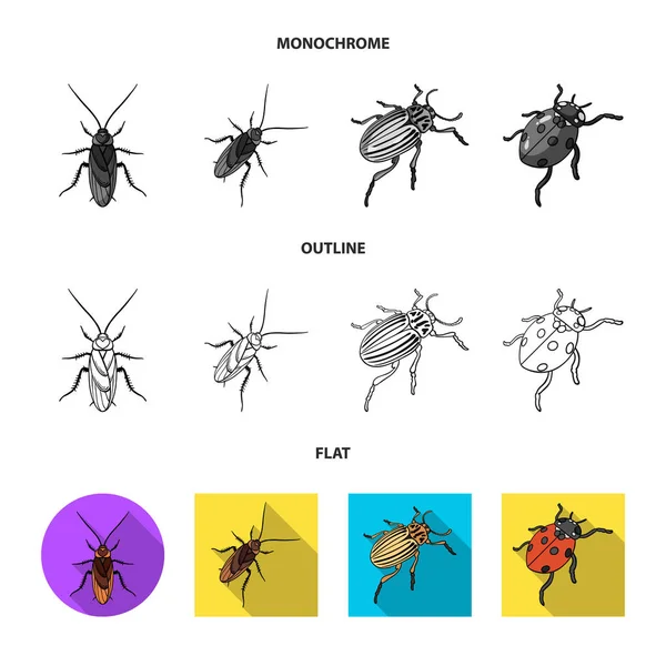 Vector design of insect and beetle icon. Collection of insect and halloween vector icon for stock. — Stock Vector